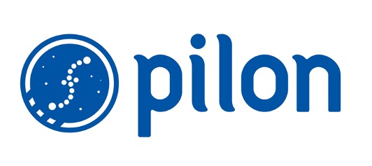 73.PILON logo